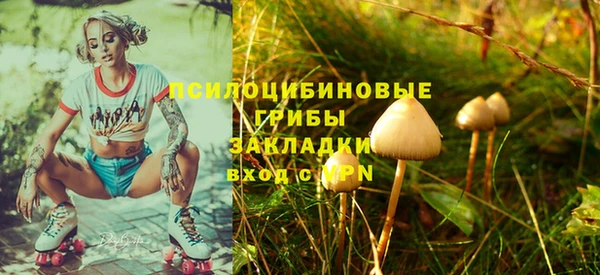 молекула духа Кукмор